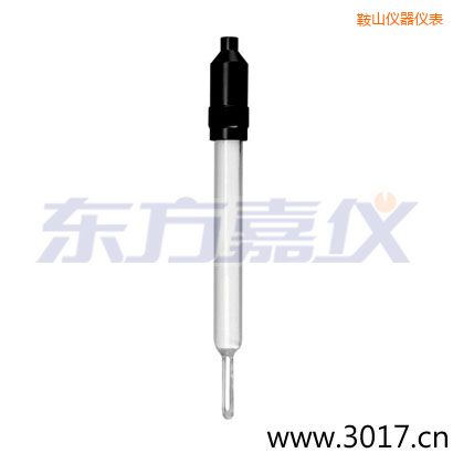 鞍山玻璃外殼無溫補兩線電導率電極