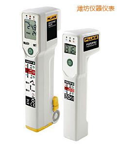 濰坊食品安全測(cè)溫儀